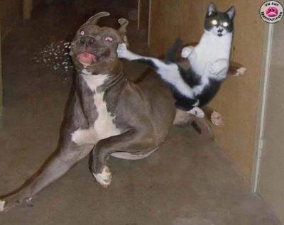 a3eti la moooooooooooo